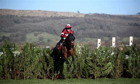Tiger Roll eases to victory in the Gelfarclas Chase.